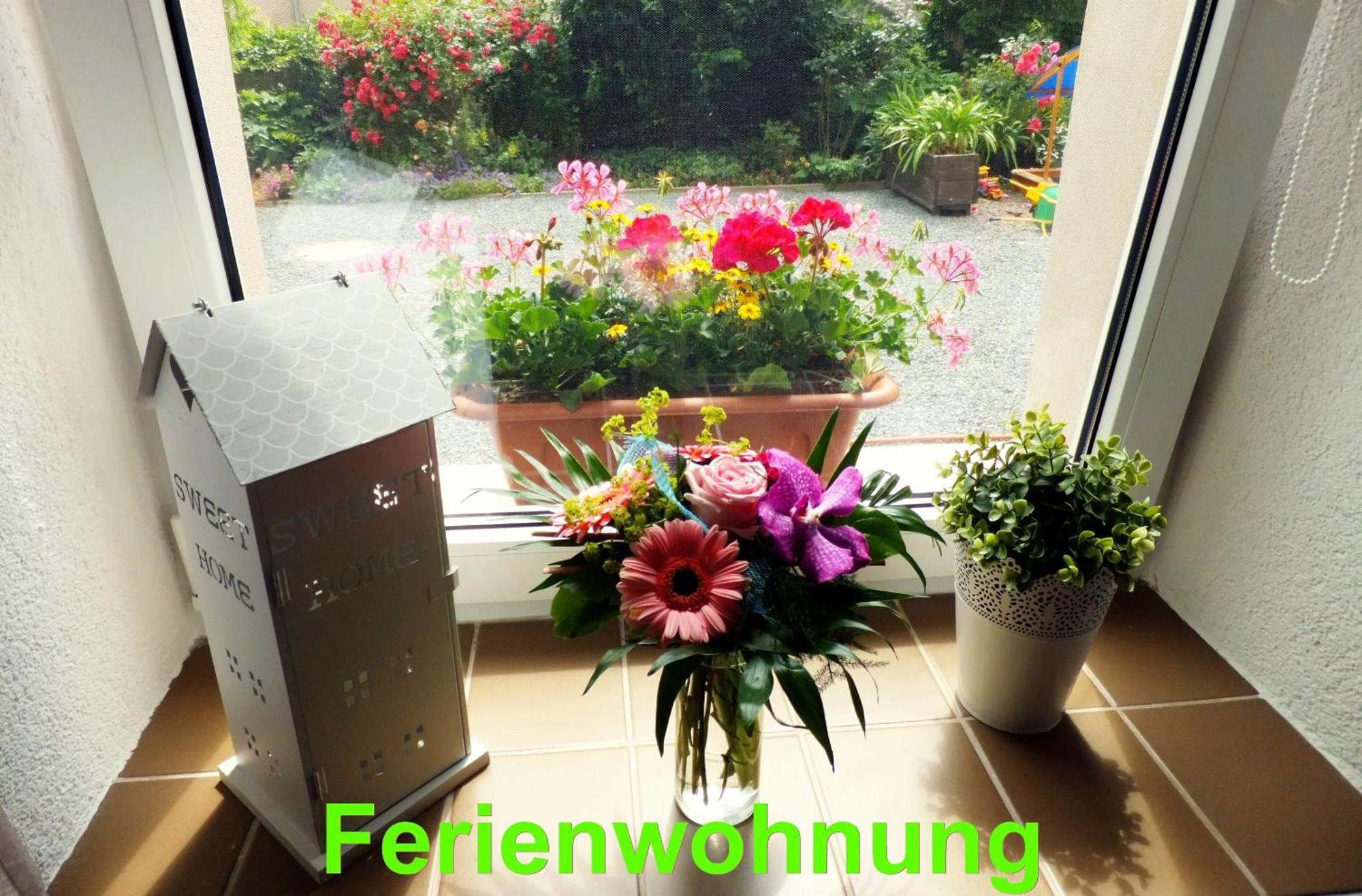 Ferienwohnung Sobrigau 部屋 写真