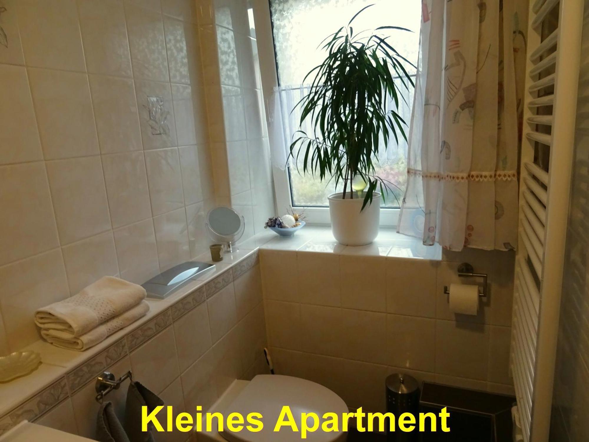 Ferienwohnung Sobrigau 部屋 写真